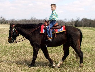 Jake and Zeke, gussied up, April 2004