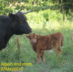 Ailpein and mom
