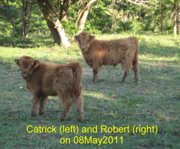 Catrick & Robert
